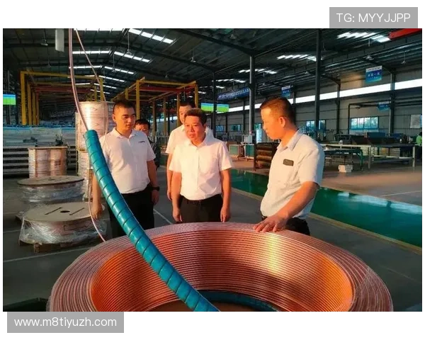 欧博平台是哪个国家的运营公司及其发展历史