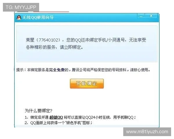 飞驰手机版会员登录安全性分析，保障您的个人信息无忧